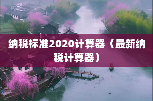 纳税标准2020计算器（最新纳税计算器）