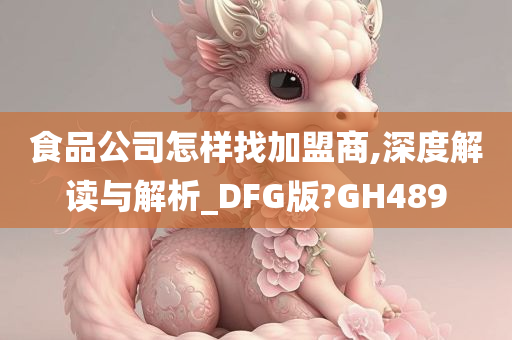 食品公司怎样找加盟商,深度解读与解析_DFG版?GH489