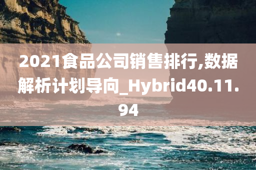 2021食品公司销售排行,数据解析计划导向_Hybrid40.11.94