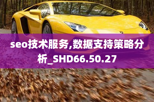 seo技术服务,数据支持策略分析_SHD66.50.27