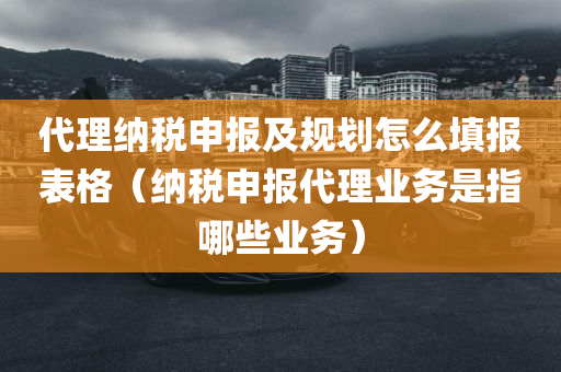 代理纳税申报及规划怎么填报表格（纳税申报代理业务是指哪些业务）