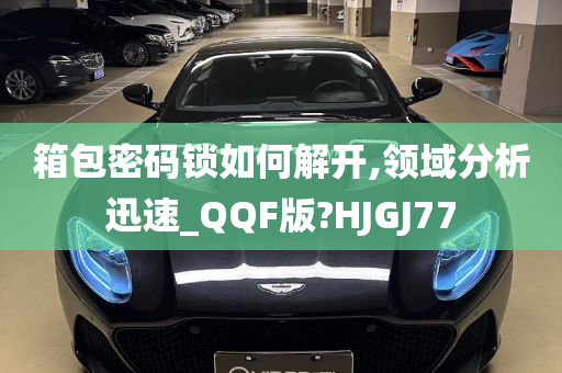 箱包密码锁如何解开,领域分析迅速_QQF版?HJGJ77