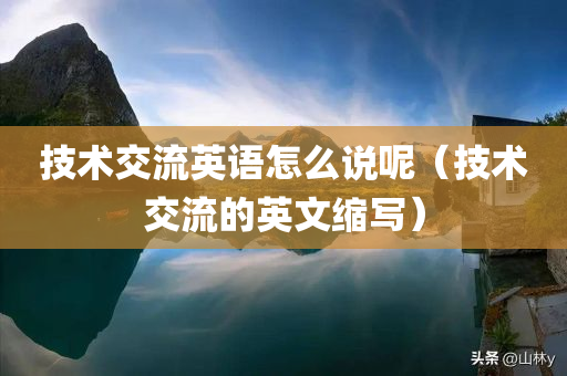 技术交流英语怎么说呢（技术交流的英文缩写）