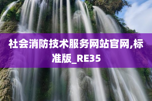 社会消防技术服务网站官网,标准版_RE35