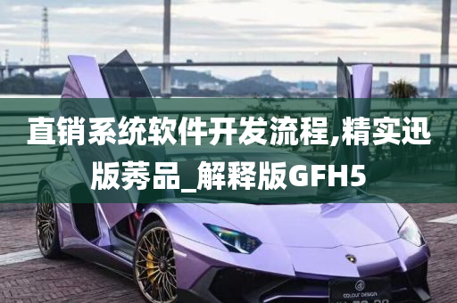 直销系统软件开发流程,精实迅版莠品_解释版GFH5