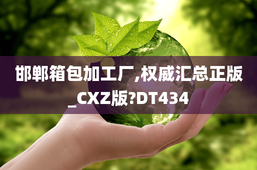 邯郸箱包加工厂,权威汇总正版_CXZ版?DT434