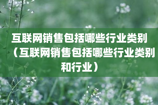 互联网销售包括哪些行业类别（互联网销售包括哪些行业类别和行业）