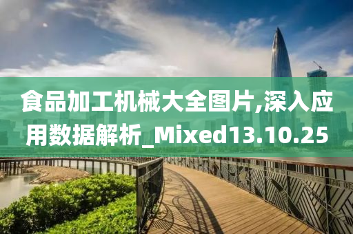 食品加工机械大全图片,深入应用数据解析_Mixed13.10.25