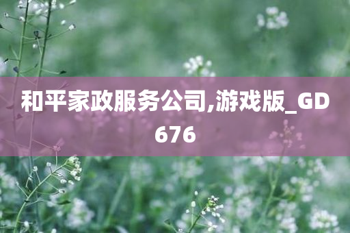 和平家政服务公司,游戏版_GD676