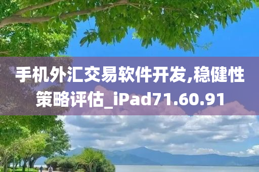 手机外汇交易软件开发,稳健性策略评估_iPad71.60.91