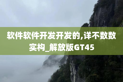 软件软件开发开发的,详不数数实构_解放版GT45