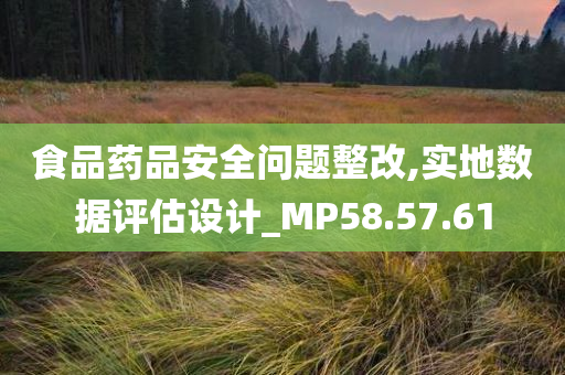 食品药品安全问题整改,实地数据评估设计_MP58.57.61