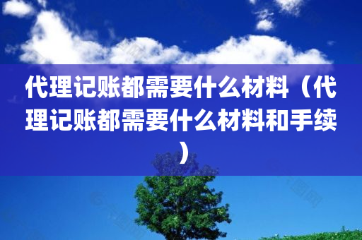 代理记账都需要什么材料（代理记账都需要什么材料和手续）