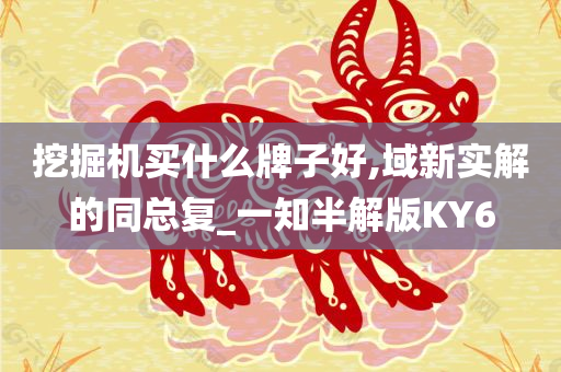 挖掘机买什么牌子好,域新实解的同总复_一知半解版KY6