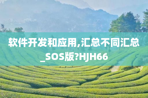 软件开发和应用,汇总不同汇总_SOS版?HJH66