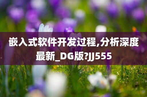 嵌入式软件开发过程,分析深度最新_DG版?JJ555