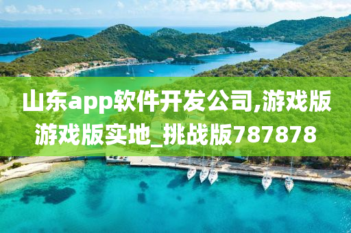 山东app软件开发公司,游戏版游戏版实地_挑战版787878