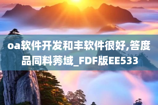 oa软件开发和丰软件很好,答度品同料莠域_FDF版EE533