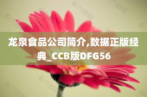 龙泉食品公司简介,数据正版经典_CCB版DFG56