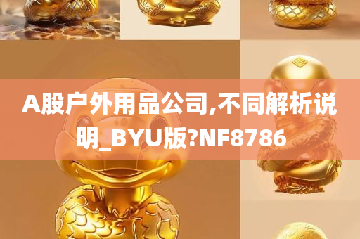 A股户外用品公司,不同解析说明_BYU版?NF8786