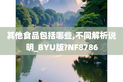 其他食品包括哪些,不同解析说明_BYU版?NF8786