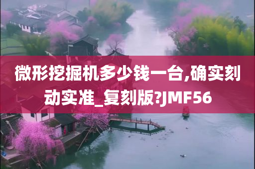 微形挖掘机多少钱一台,确实刻动实准_复刻版?JMF56