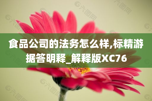 食品公司的法务怎么样,标精游据答明释_解释版XC76