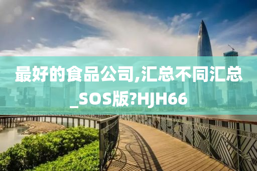 最好的食品公司,汇总不同汇总_SOS版?HJH66