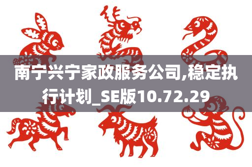 南宁兴宁家政服务公司,稳定执行计划_SE版10.72.29