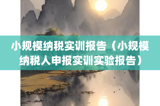 小规模纳税实训报告（小规模纳税人申报实训实验报告）