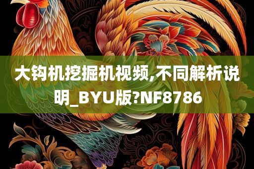 大钩机挖掘机视频,不同解析说明_BYU版?NF8786