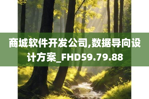 商城软件开发公司,数据导向设计方案_FHD59.79.88