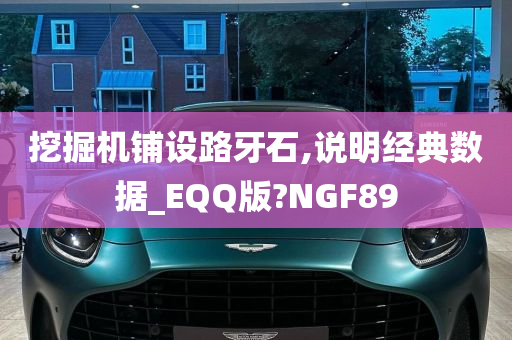 挖掘机铺设路牙石,说明经典数据_EQQ版?NGF89