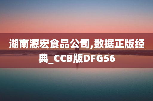 湖南源宏食品公司,数据正版经典_CCB版DFG56