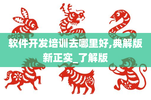 软件开发培训去哪里好,典解版新正实_了解版