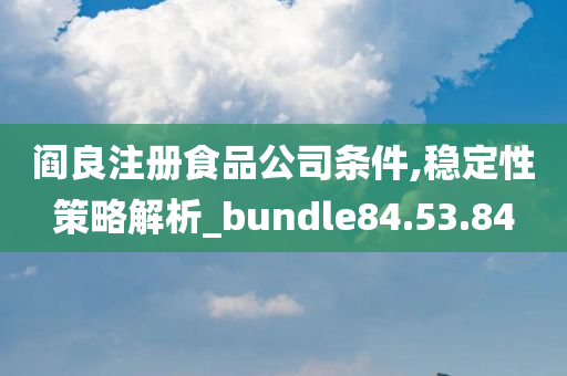 阎良注册食品公司条件,稳定性策略解析_bundle84.53.84