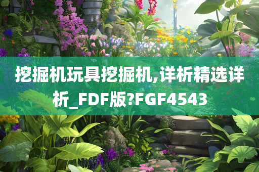 挖掘机玩具挖掘机,详析精选详析_FDF版?FGF4543