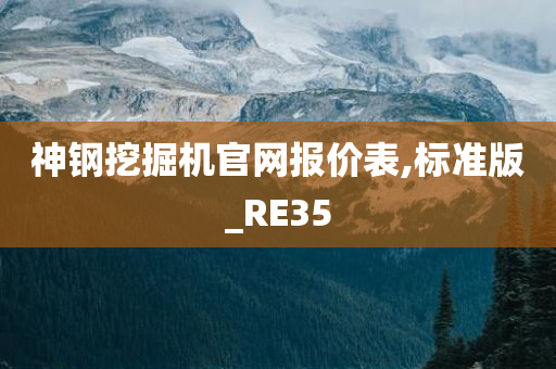 神钢挖掘机官网报价表,标准版_RE35