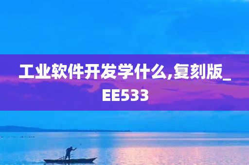 工业软件开发学什么,复刻版_EE533