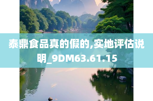 泰鼎食品真的假的,实地评估说明_9DM63.61.15