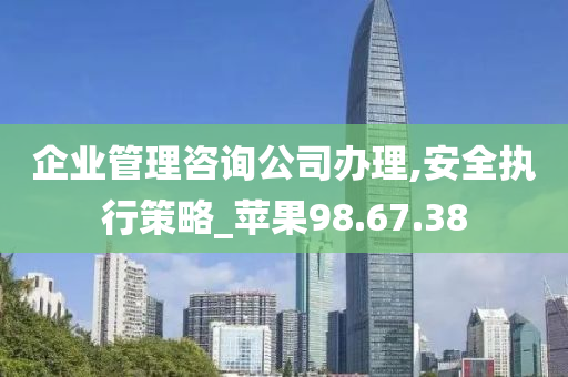 企业管理咨询公司办理,安全执行策略_苹果98.67.38