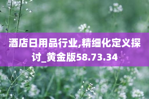 酒店日用品行业,精细化定义探讨_黄金版58.73.34