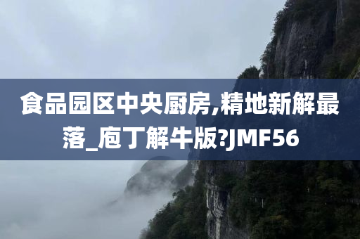 食品园区中央厨房,精地新解最落_庖丁解牛版?JMF56