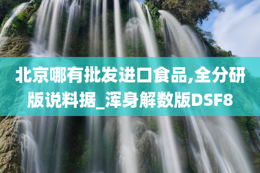 北京哪有批发进口食品,全分研版说料据_浑身解数版DSF8