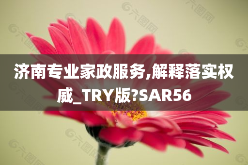 济南专业家政服务,解释落实权威_TRY版?SAR56