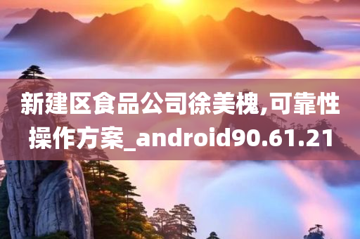 新建区食品公司徐美槐,可靠性操作方案_android90.61.21