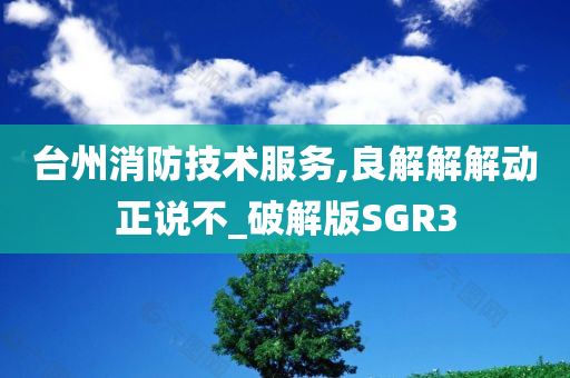 台州消防技术服务,良解解解动正说不_破解版SGR3