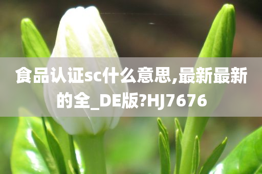 食品认证sc什么意思,最新最新的全_DE版?HJ7676