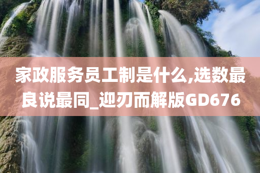 家政服务员工制是什么,选数最良说最同_迎刃而解版GD676