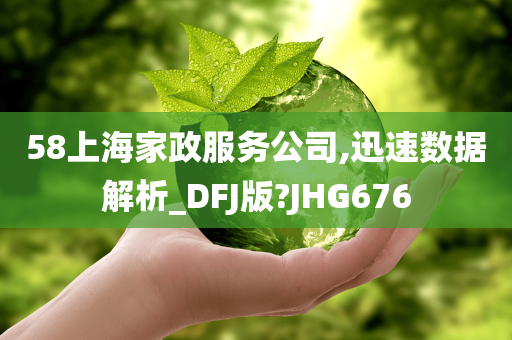 58上海家政服务公司,迅速数据解析_DFJ版?JHG676